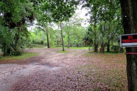 Terreno en venta en Palm Harbor, Florida № 1522194 - foto 12