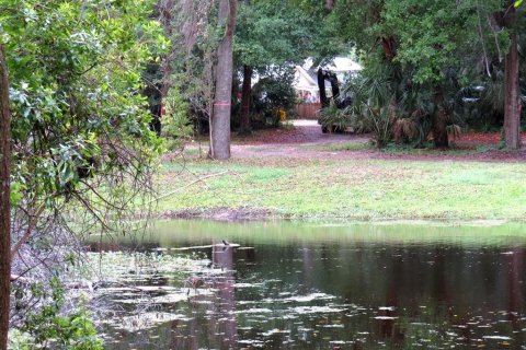 Terreno en venta en Palm Harbor, Florida № 1522194 - foto 2