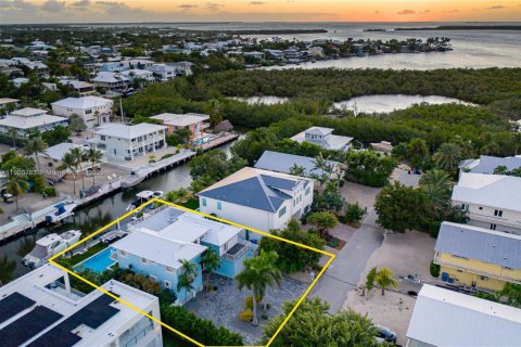 House in Tavernier, Florida 4 bedrooms, 354.61 sq.m. № 1955692 - photo 4