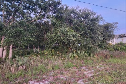 Land in Port Charlotte, Florida № 2234870 - photo 6