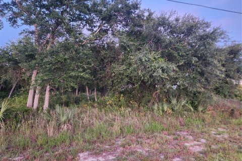 Land in Port Charlotte, Florida № 2234870 - photo 7