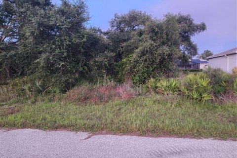 Land in Port Charlotte, Florida № 2234870 - photo 3