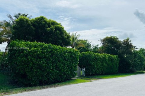 Villa ou maison à vendre à Homestead, Floride: 1 chambre, 62.89 m2 № 1978168 - photo 16