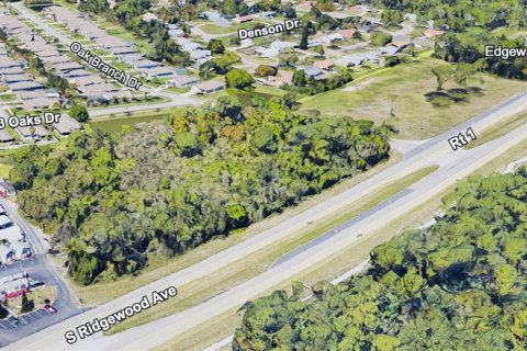 Land in Edgewater, Florida № 1299108 - photo 3