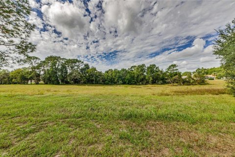 House in Spring Hill, Florida 2 bedrooms, 155.7 sq.m. № 2109974 - photo 4