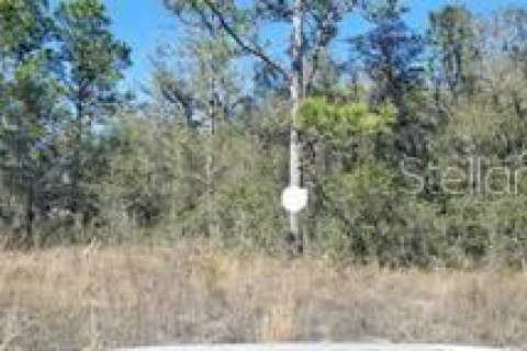 Land in Weeki Wachee, Florida № 2165650 - photo 2