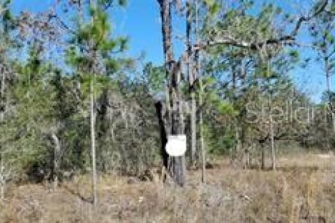 Land in Weeki Wachee, Florida № 2165650 - photo 4
