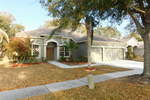 House in Riverview, Florida 4 bedrooms, 292.36 sq.m. № 2147798