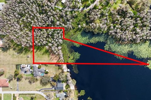 Land in Lutz, Florida № 1722139 - photo 2