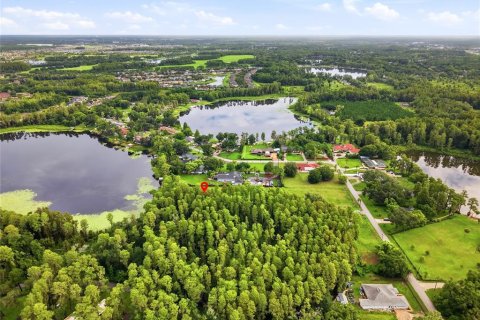 Land in Lutz, Florida № 1722139 - photo 21