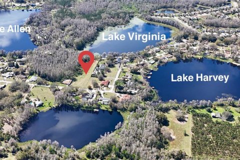Land in Lutz, Florida № 1722139 - photo 5