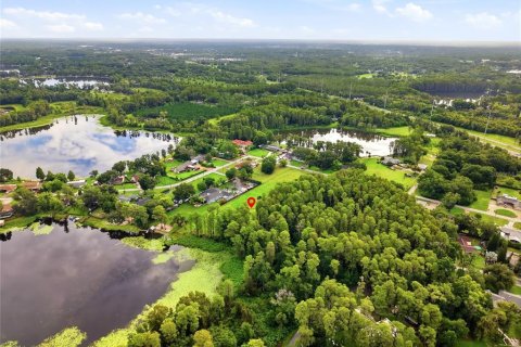 Land in Lutz, Florida № 1722139 - photo 22