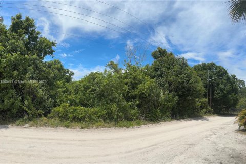 Terreno en venta en Vero Beach, Florida № 1741422 - foto 4