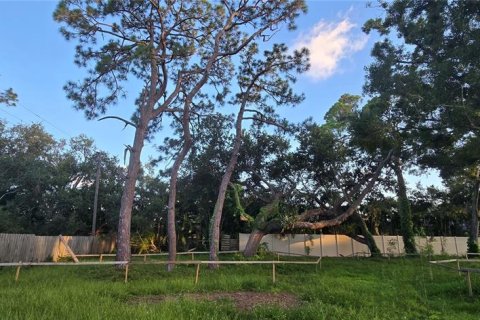 Land in Sarasota, Florida № 1900239 - photo 2