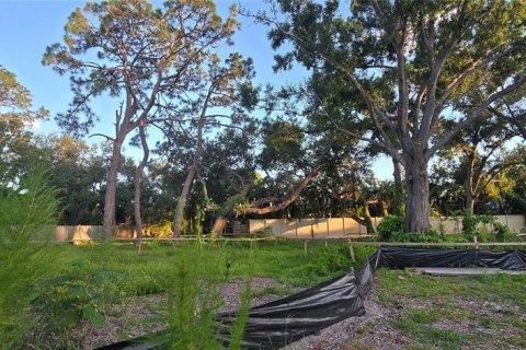 Land in Sarasota, Florida № 1900239 - photo 1