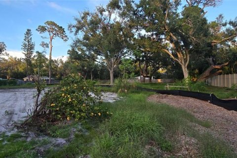 Land in Sarasota, Florida № 1900239 - photo 3