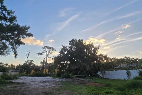Land in Sarasota, Florida № 1900239 - photo 4