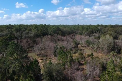 Land in Paisley, Florida № 836101 - photo 2