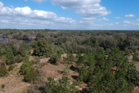 Land in Paisley, Florida № 836101 - photo 1