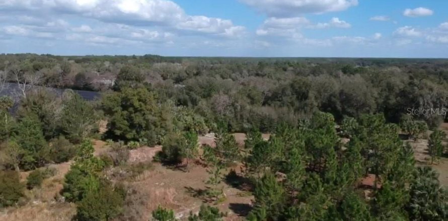 Land in Paisley, Florida № 836101
