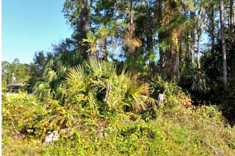 Land in North Port, Florida № 2161731 - photo 4