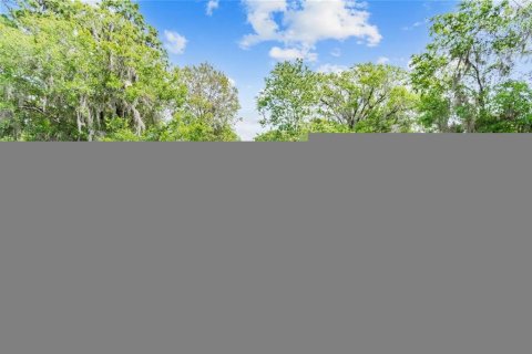 House in Land O' Lakes, Florida 3 bedrooms, 134.06 sq.m. № 1537312 - photo 7