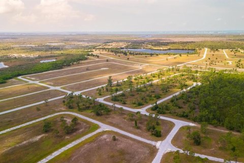 Land in Placida, Florida № 2159339 - photo 4