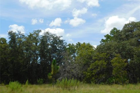 Land in Dunnellon, Florida № 2159386