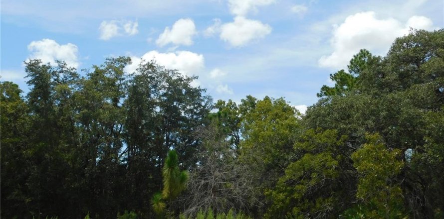 Land in Dunnellon, Florida № 2159386