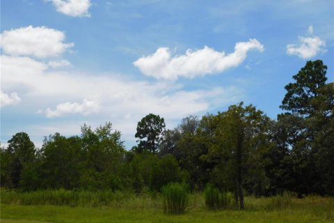 Land in Dunnellon, Florida № 2159386 - photo 4