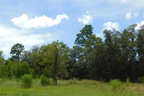 Land in Dunnellon, Florida № 2159386 - photo 3