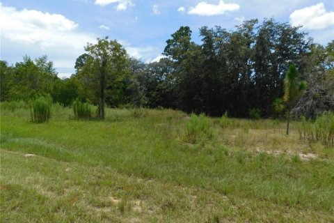 Land in Dunnellon, Florida № 2159386 - photo 5