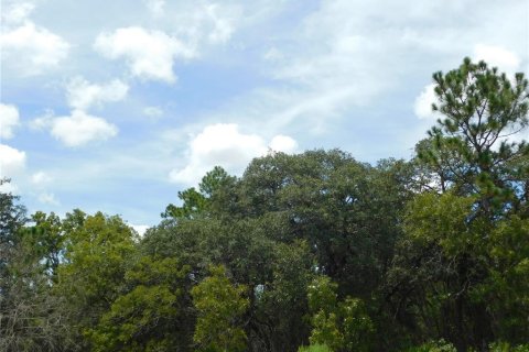 Land in Dunnellon, Florida № 2159386 - photo 2