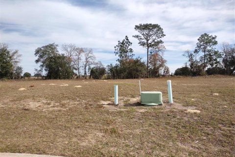 Land in Dunnellon, Florida № 940072 - photo 2