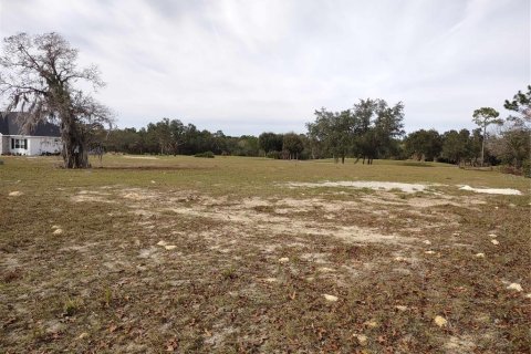 Land in Dunnellon, Florida № 940072 - photo 3