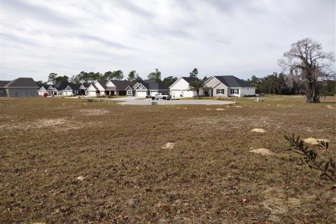 Land in Dunnellon, Florida № 940072 - photo 1