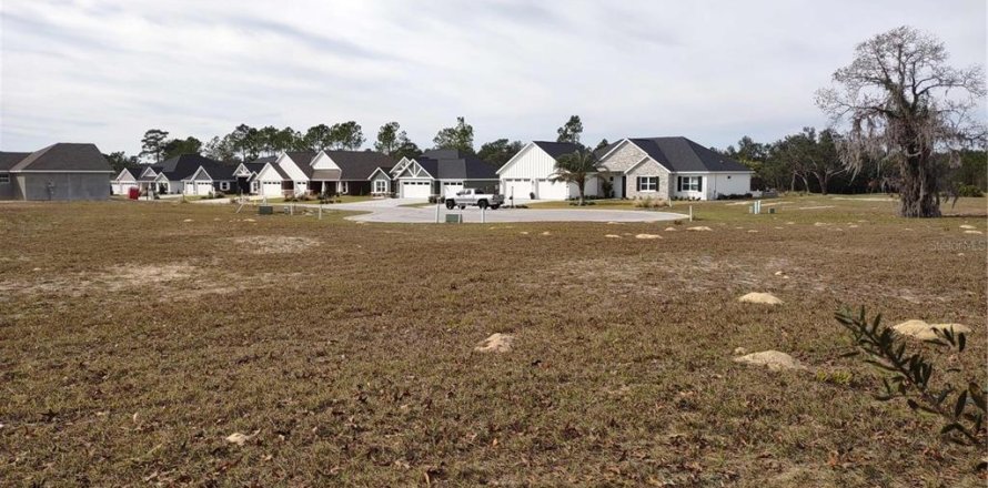 Land in Dunnellon, Florida № 940072