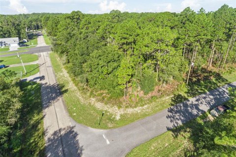 Land in Citrus Springs, Florida № 2366725