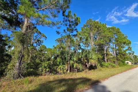 Terreno en Lehigh Acres, Florida № 2164399