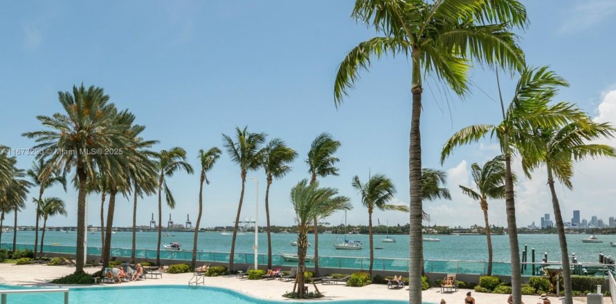 Studio à Condo à Miami Beach, Floride № 1715325