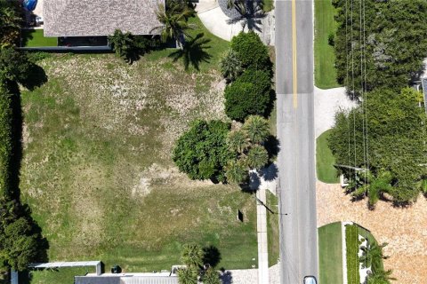 Land in New Smyrna Beach, Florida № 1879640 - photo 9