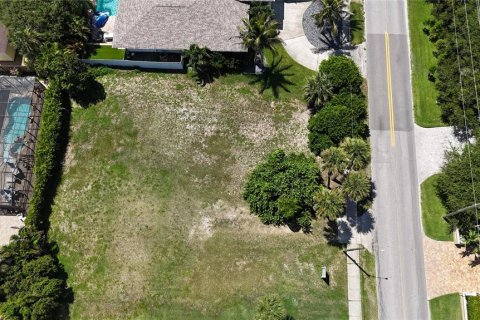 Land in New Smyrna Beach, Florida № 1879640 - photo 6