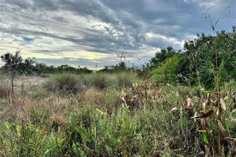 Land in Port Charlotte, Florida № 2160096 - photo 3