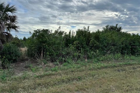 Land in Port Charlotte, Florida № 2160096 - photo 5