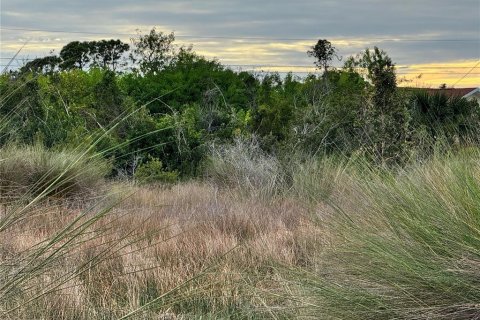 Land in Port Charlotte, Florida № 2160096