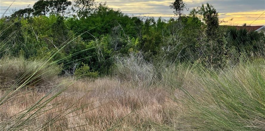 Land in Port Charlotte, Florida № 2160096
