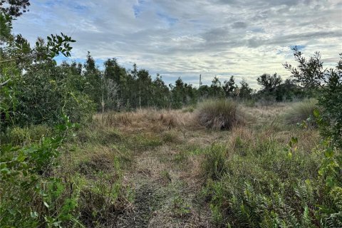 Land in Port Charlotte, Florida № 2160096 - photo 2