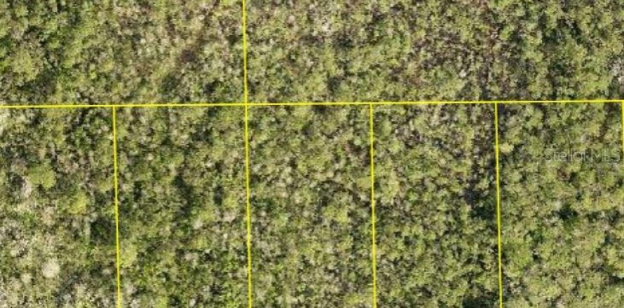 Land in DeLand, Florida № 2195840