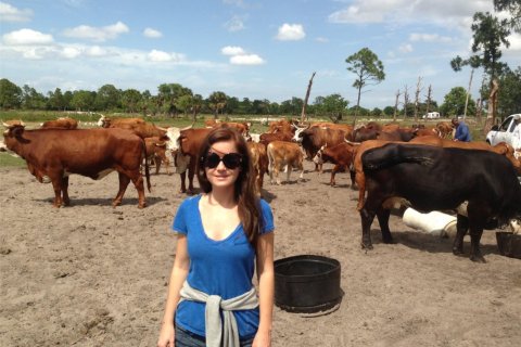 Land in Clewiston, Florida № 1175576 - photo 1