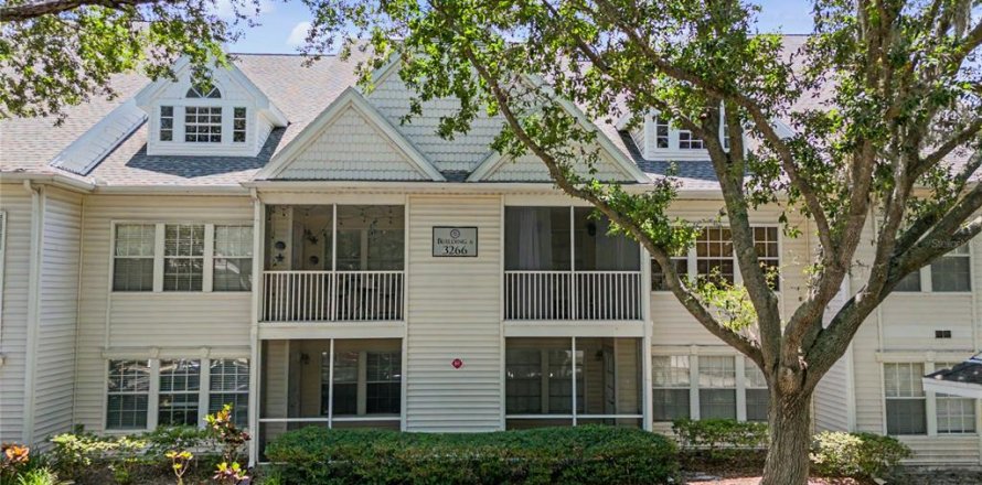 Condo à Palm Harbor, Floride, 3 chambres  № 2121378